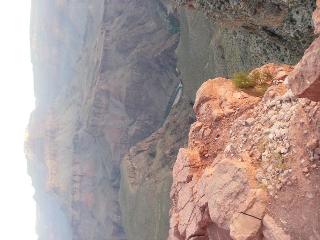 P5220125.jpg